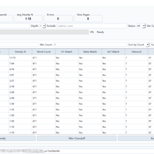 SEO Site Analyzer Pro software interface showing website crawl parameter setup, web audit tool for webmasters